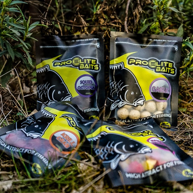 BOILIES CLASSIC 100 GR